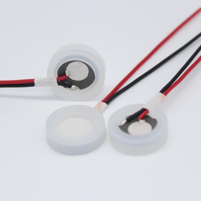 Shaft 16mm, 20mm, 25mm Immersed Ultrasonic Transducer Piezo Discs